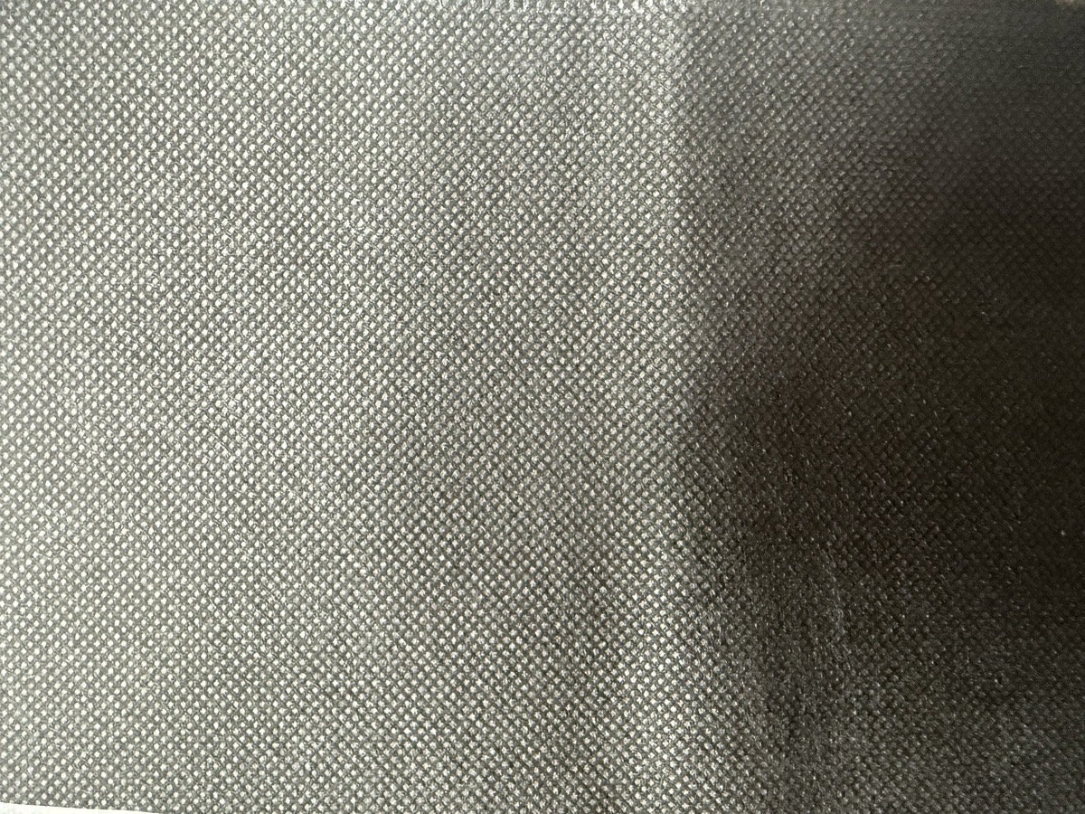 Vista 6
